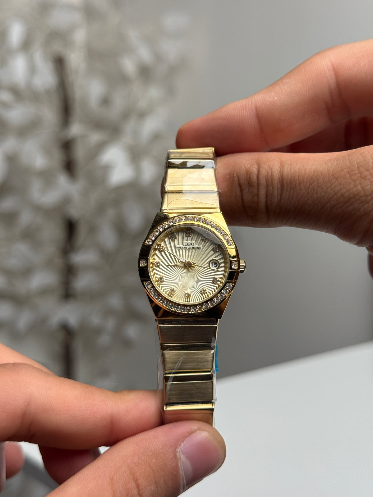 IBSO Women Original V31